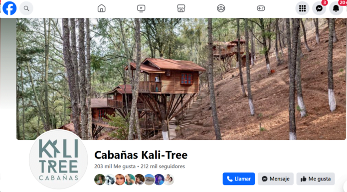 Facebook Kalitree Facebook Kalitree