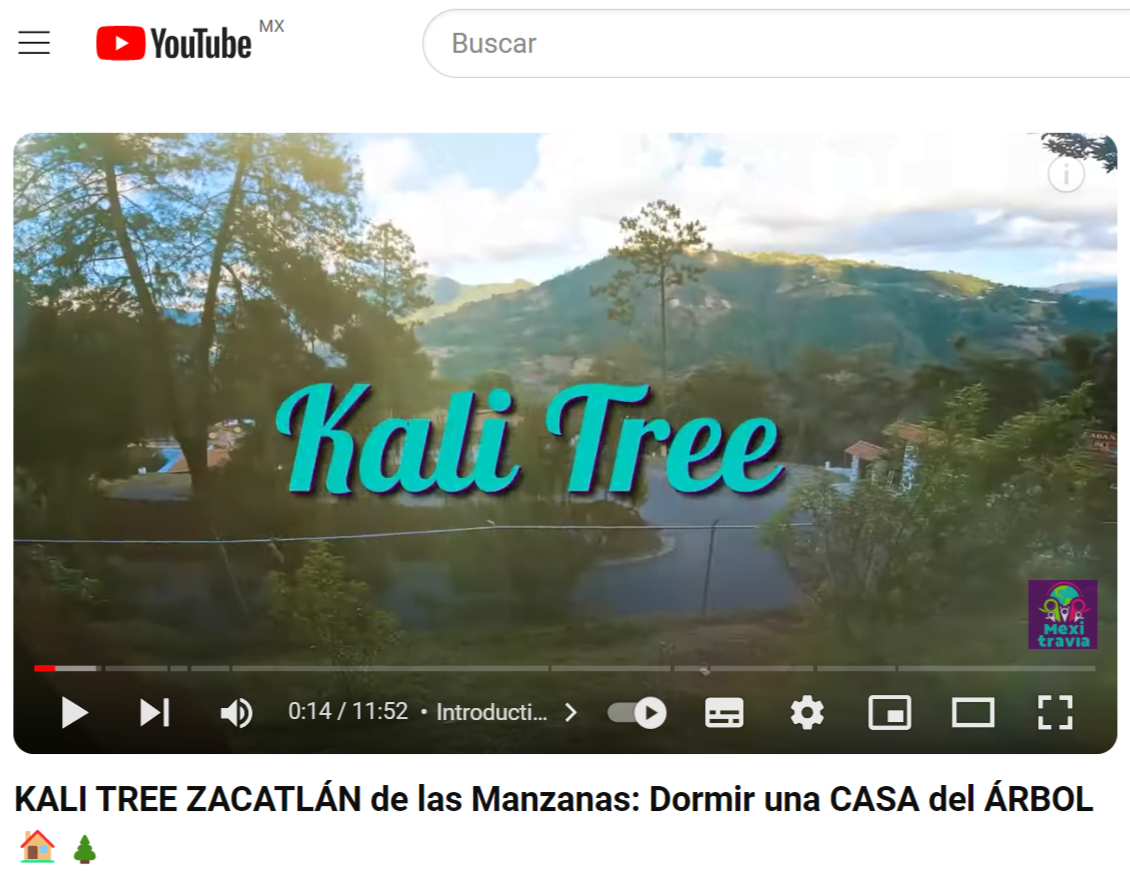 YouTube Kali Tree